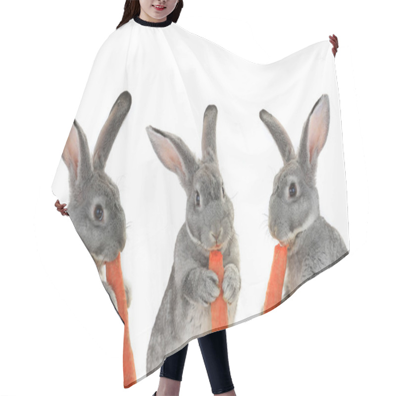 Personality  Gray  Rabbits With Carrots Hair Cutting Cape