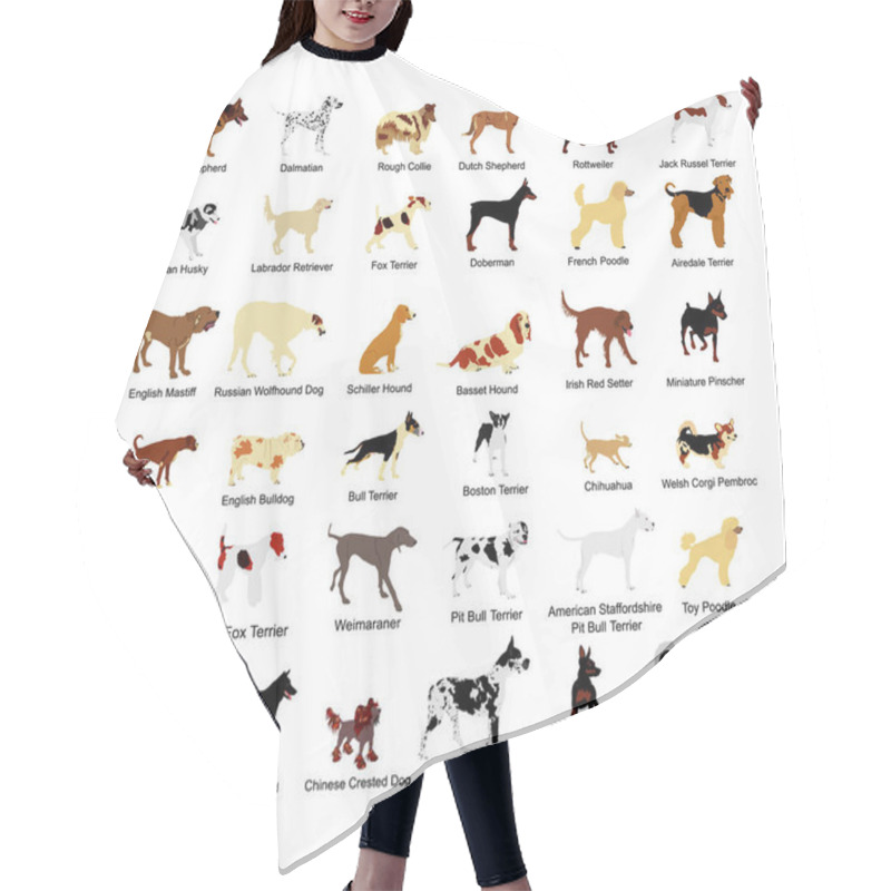 Personality  Large Dog Breed Set Collection Vector Illustration Isolated On White Background: American Staffordshire, Pit Bull Terrier, Wire Fox Terrier, Welsh Corgi Pembroke And Cardigan, Manchester Terrier... Hair Cutting Cape