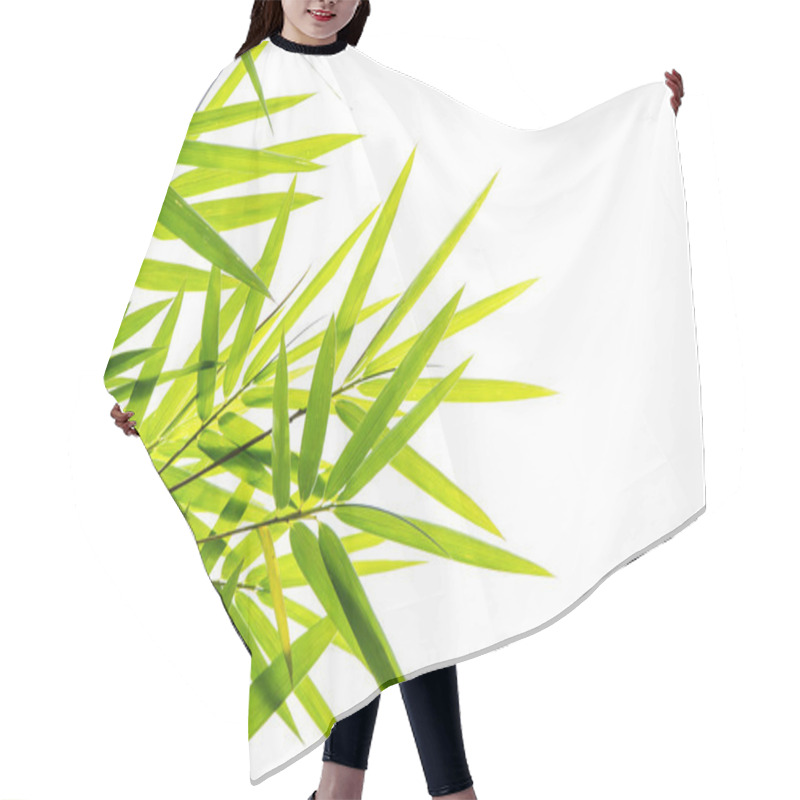 Personality  Bamboo Leaves Isolated On White Background Hair Cutting Cape