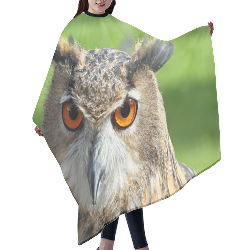 Personality  Great OWL Face With Orange Eyes And Attentive Gaze Hair Cutting Cape