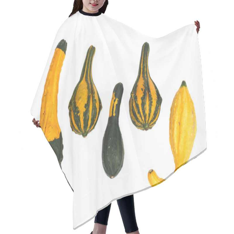 Personality  Ornamental Gourds Isolated Hair Cutting Cape