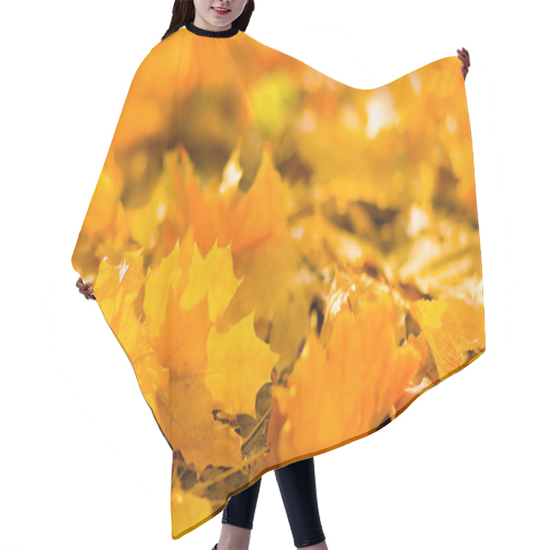 Personality  Yellow Leaves On The Ground. Autumn Pattern With Fallen Leaves. Golden Leaves In Autumn Park. Autumn Loneliness. Blurred Background Hair Cutting Cape