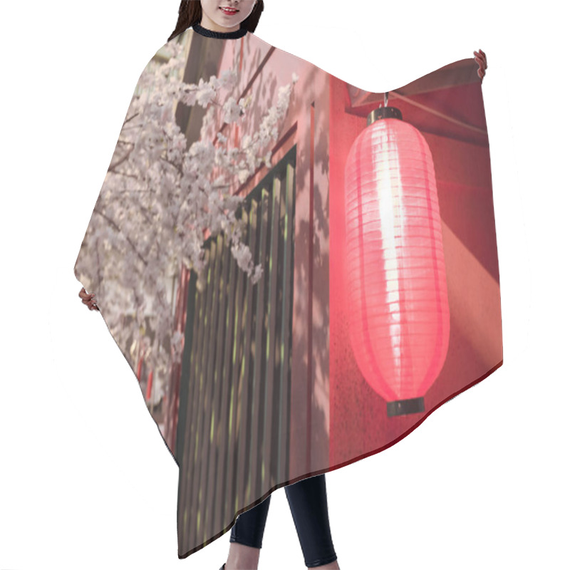 Personality  Red Japanese Lanterns With Sakura Tree Hair Cutting Cape