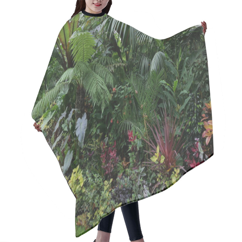 Personality  Beautiful Late Summer Flowerbed With Colourful Red And Green Foliage Hair Cutting Cape