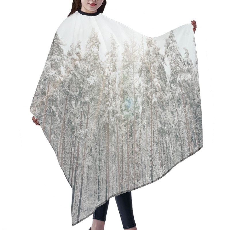 Personality  Scenic View Of Snowy Pine Trees And Sunlight In Winter Forest Hair Cutting Cape