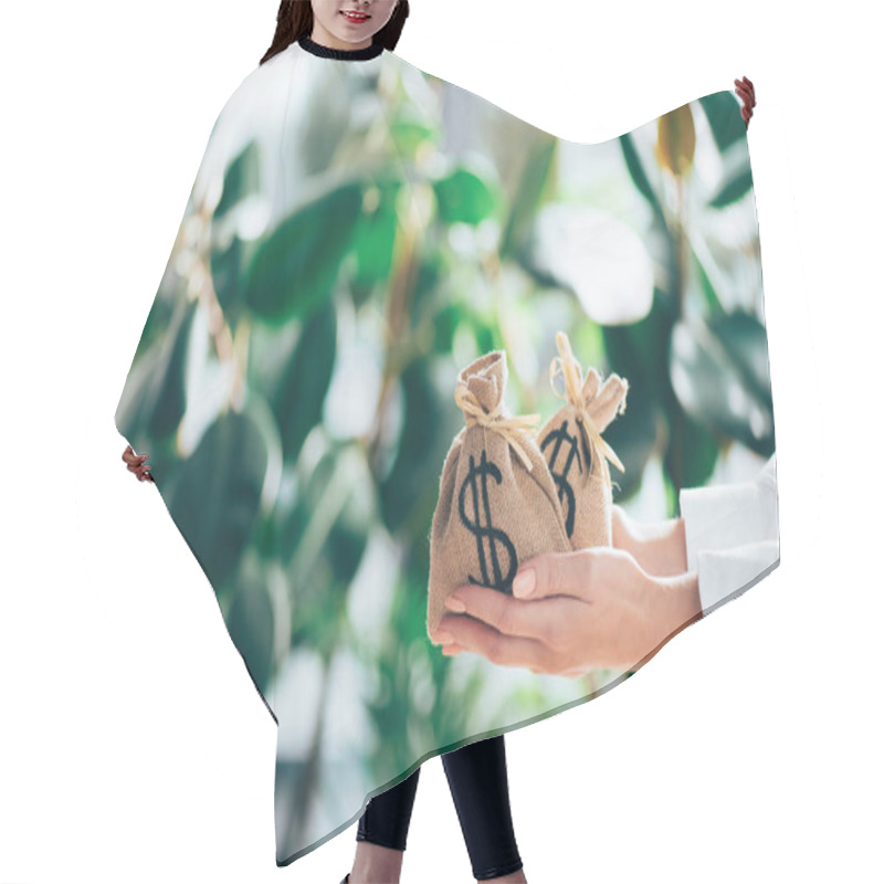 Personality  Cropped Shot Of Person Holding Sackcloth Bags With Dollar Sign In Hands Hair Cutting Cape