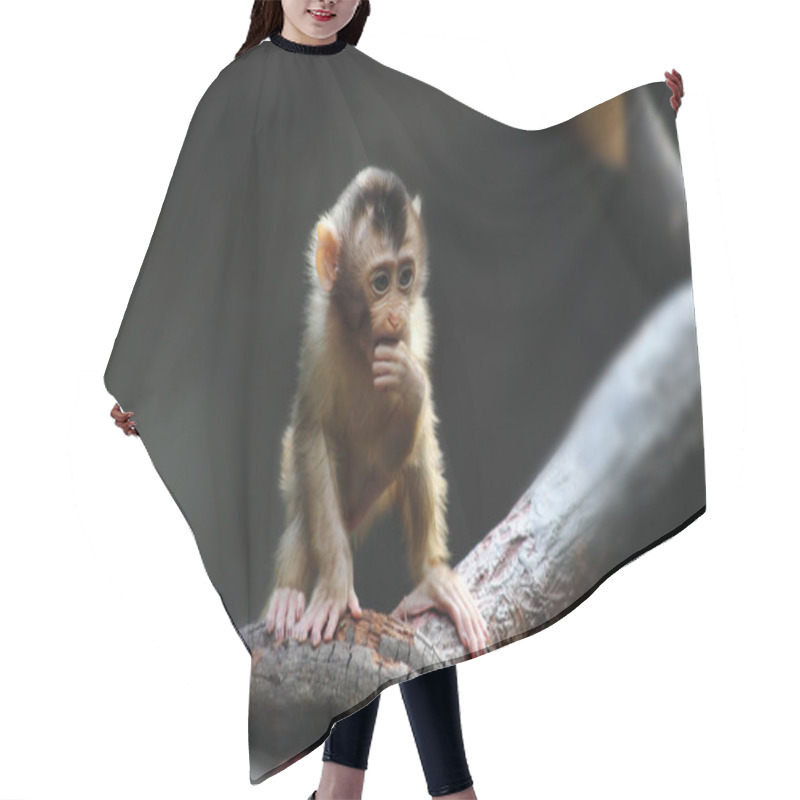 Personality  Small Monkey Child Hair Cutting Cape