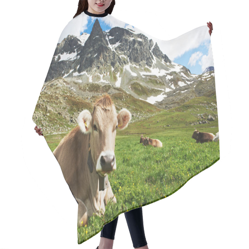 Personality  Brown Cow On Green Grass Pasture Hair Cutting Cape