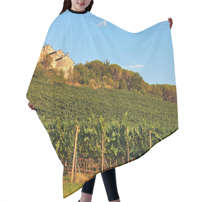 Personality  Tuscany, Vineyard On Hill. Hair Cutting Cape