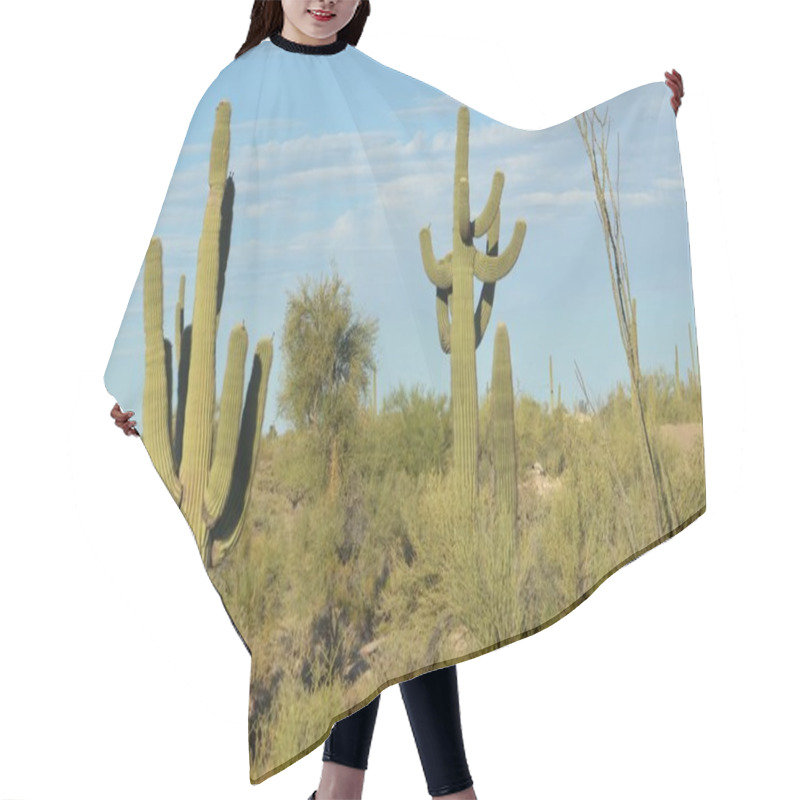 Personality  Saguaro Cacti In Perspective Hair Cutting Cape