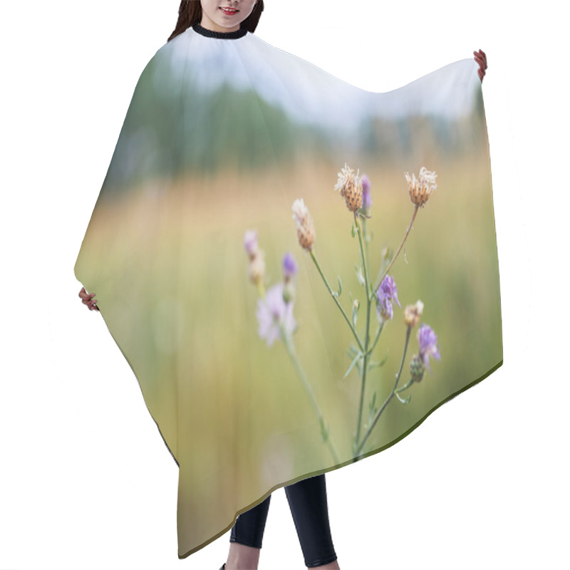 Personality  Cirsium Hair Cutting Cape