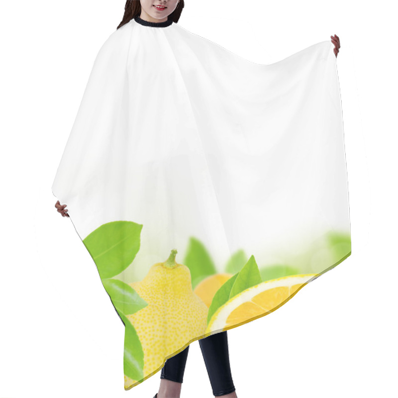 Personality  Lemons Hair Cutting Cape