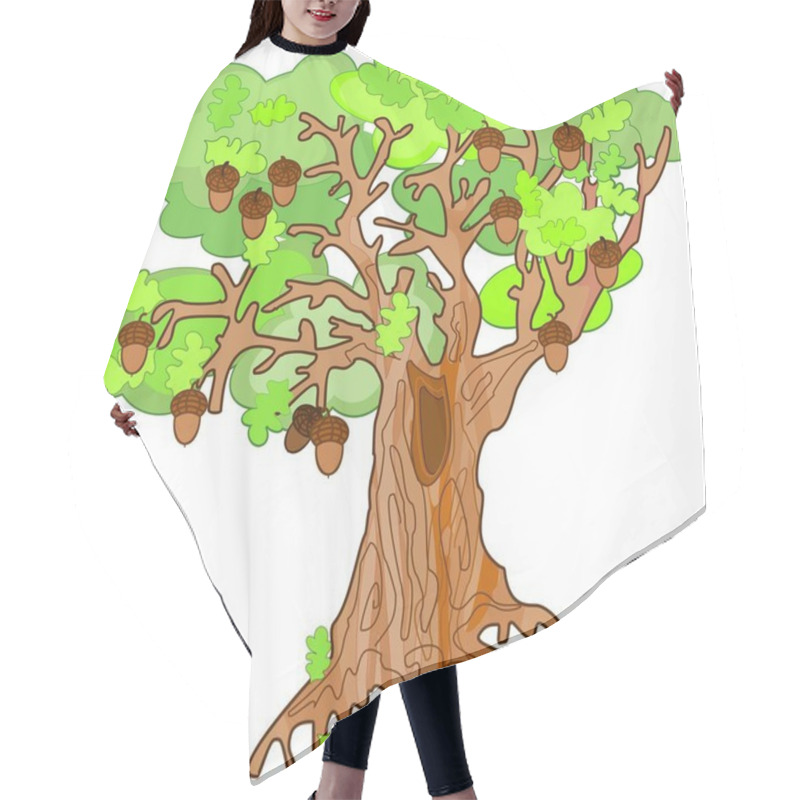 Personality  Old Oak Tree With Acorns And Hollow On White Background Hair Cutting Cape