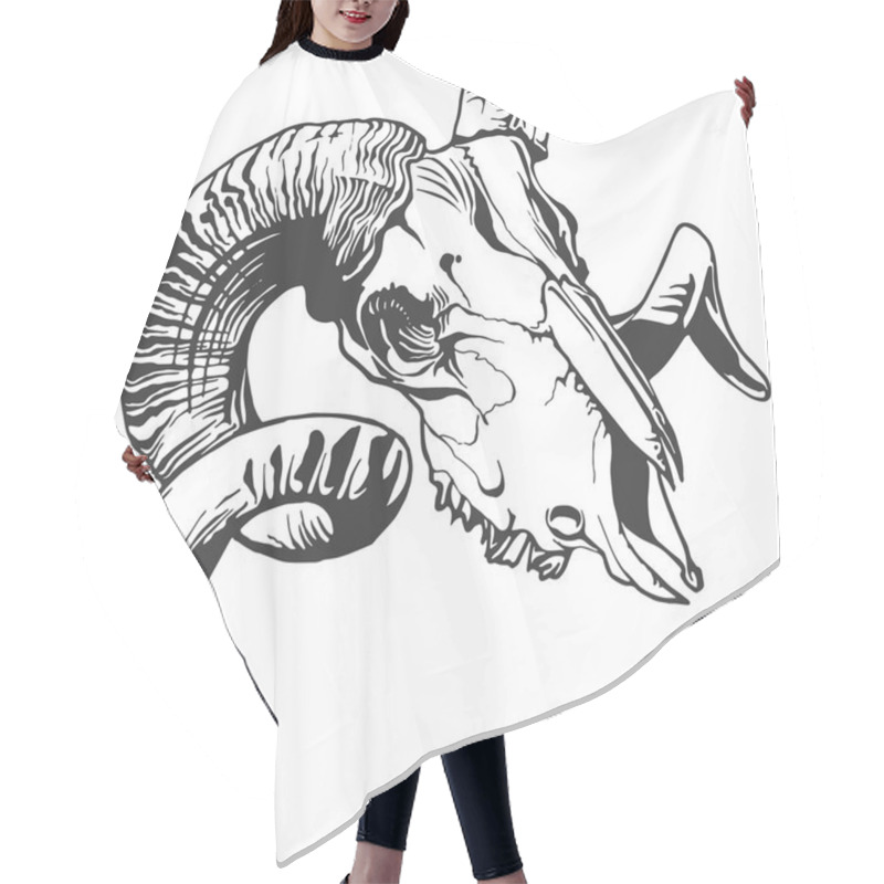 Personality  Illustration With Goat Skull. Hair Cutting Cape