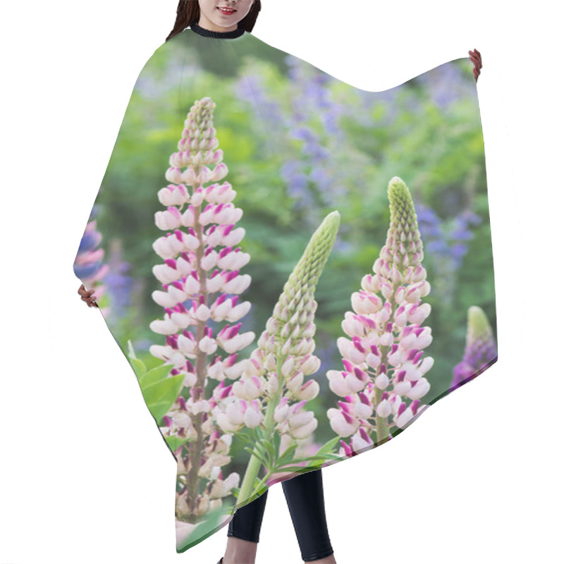 Personality  Blooming Lupines On Summer Wild Meadow Hair Cutting Cape