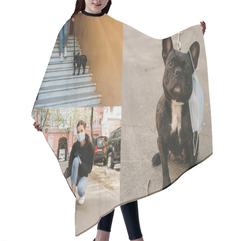 Personality  Collage Of Girl In Medical Mask Walking With Cute French Bulldog  Hair Cutting Cape