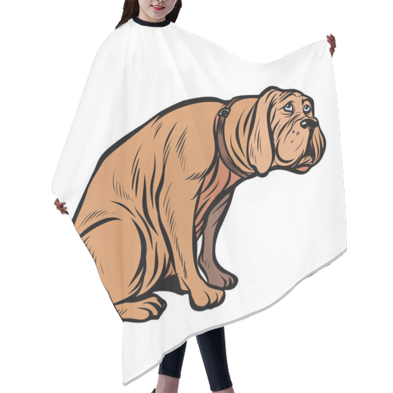 Personality  Guilty Dog, Funny Pet Hair Cutting Cape