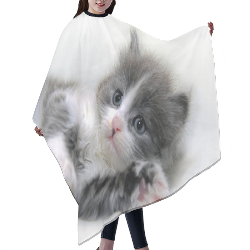 Personality  Cute Gray With White Kitten Lies Hair Cutting Cape