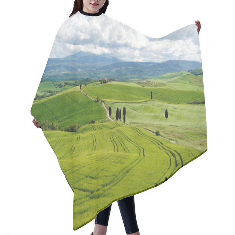 Personality  Tuscany Landscape With Green Hills And Country Road In Val D Orcia, Italy Hair Cutting Cape