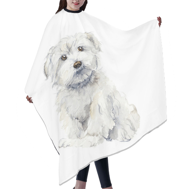 Personality  Maltese Dog. Portrait Small Dog.  Hair Cutting Cape