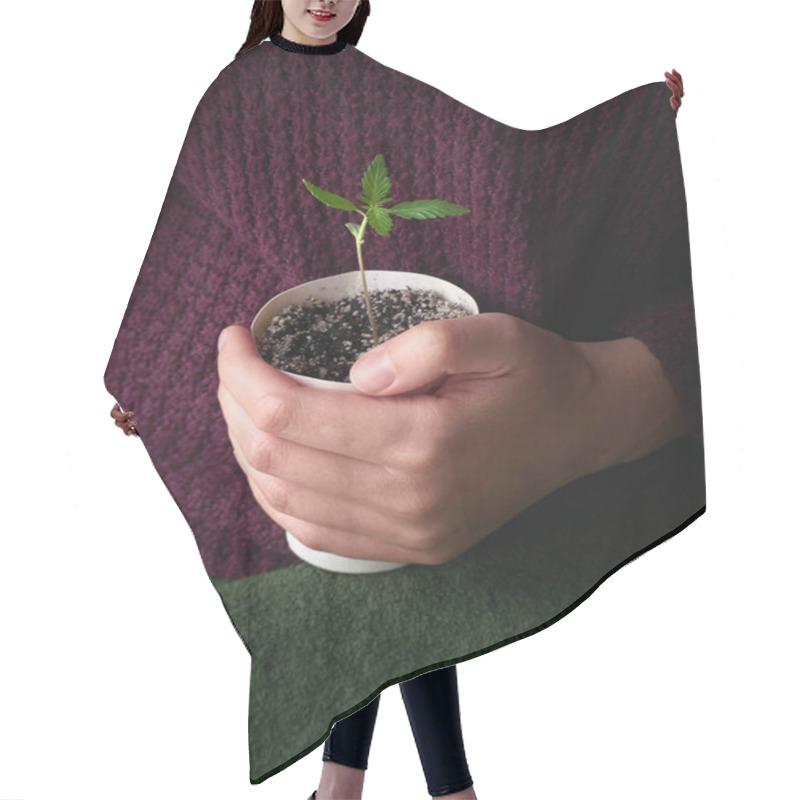 Personality  Hands Holding Young Green Plant. Hair Cutting Cape