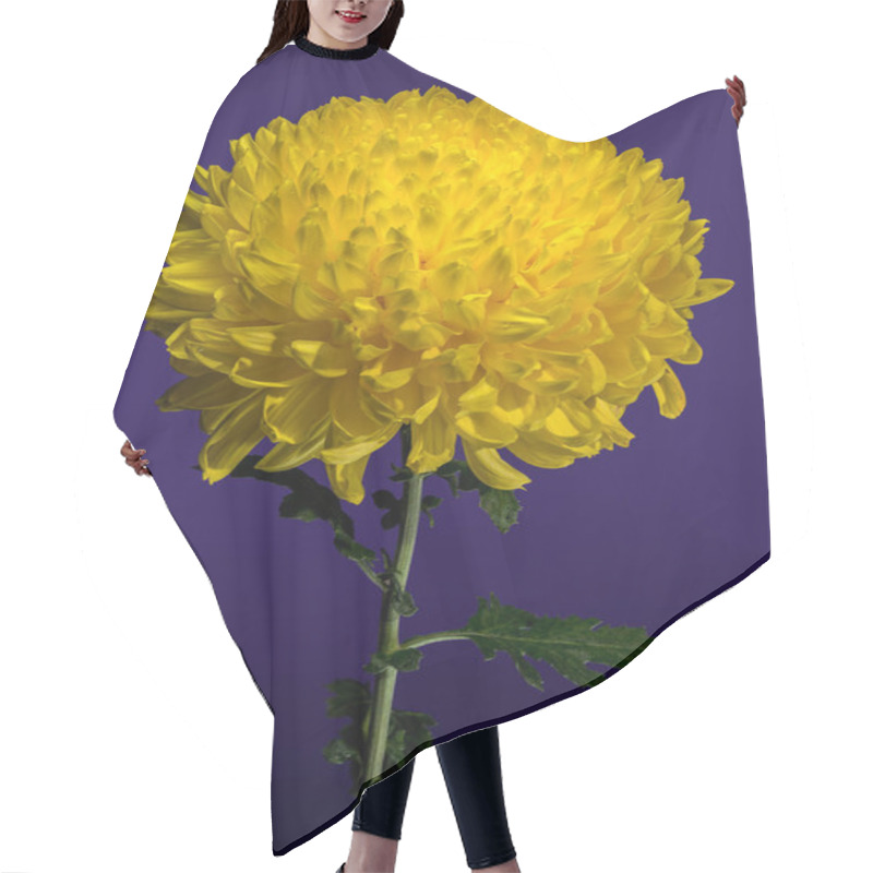 Personality  Yellow Chrysanthemum On Purple Background Hair Cutting Cape