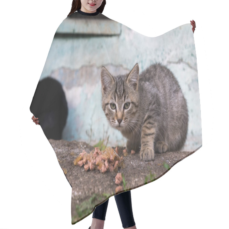 Personality  A Black Kitten And A Tabby Kitten Share A Meal On A Rough, Urban Surface. The Peeling Paint And Scattered Leaves Add To The Gritty, Yet Heartwarming, Portrayal Of Street Life. Hair Cutting Cape