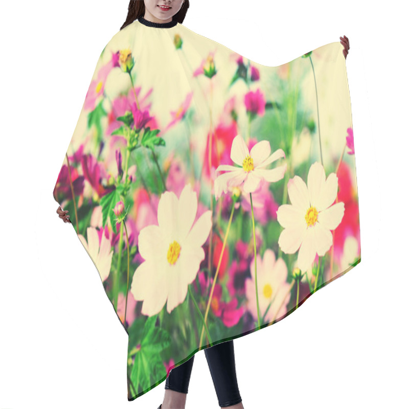 Personality  Beautiful Cosmos Flowers Blooming In Tibet Hair Cutting Cape