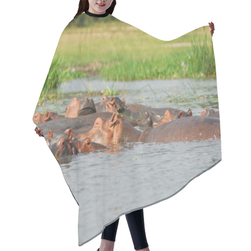 Personality  Hippopotamus School Hair Cutting Cape