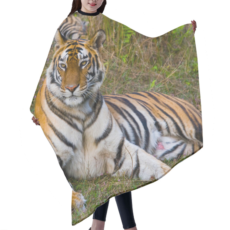 Personality  Wild Tiger Lying Relaxing Hair Cutting Cape