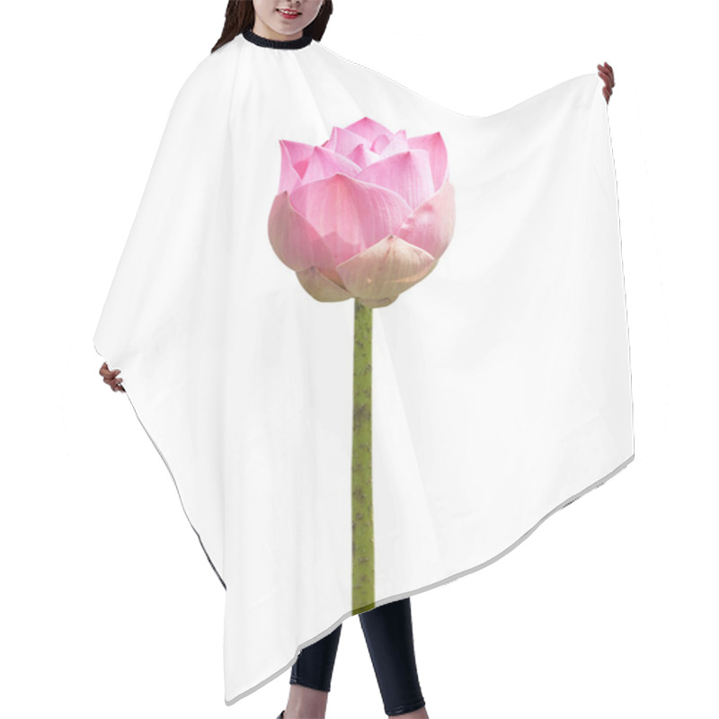 Personality  Lotus Frower Hair Cutting Cape