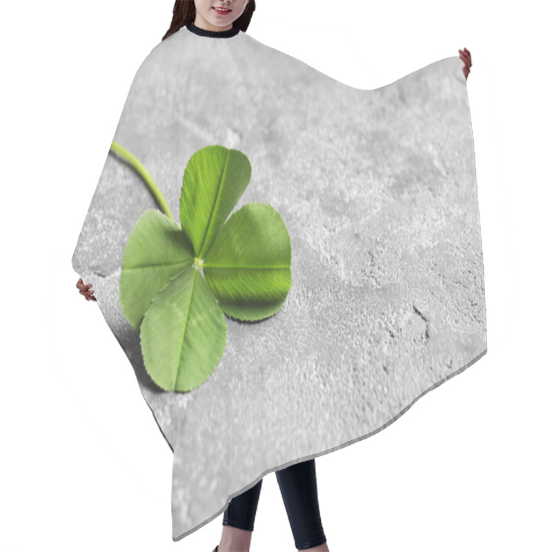 Personality  Green Four-leaf Clover On Gray Background With Space For Text Hair Cutting Cape