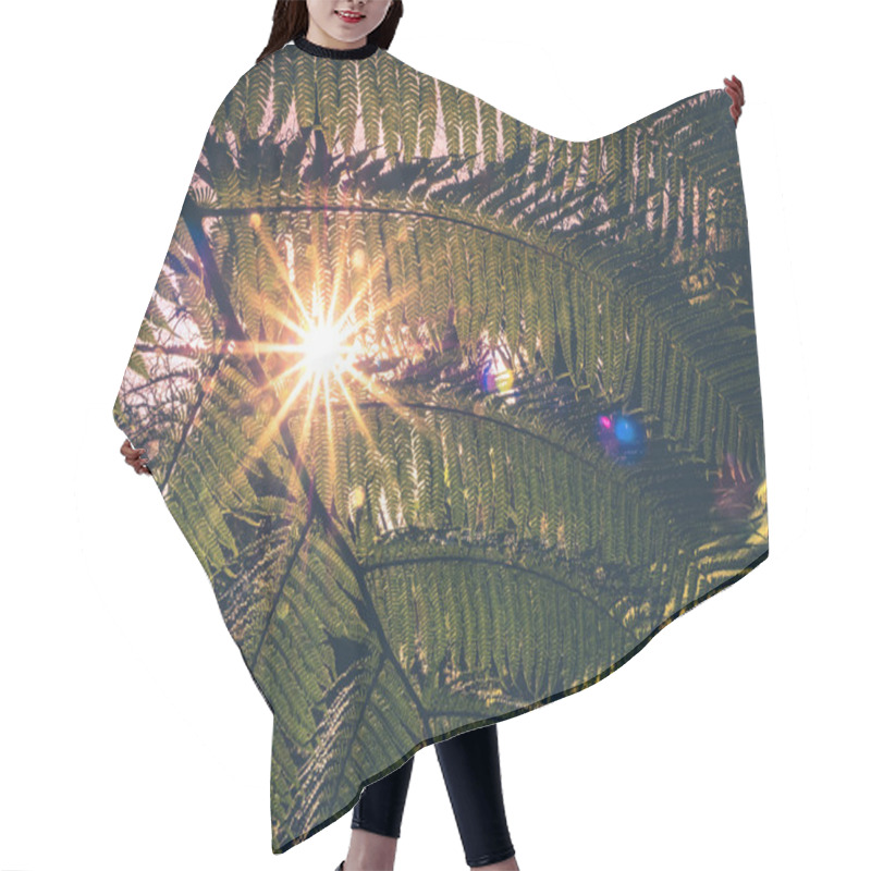 Personality  Fern Leaf And Sunrays Hair Cutting Cape