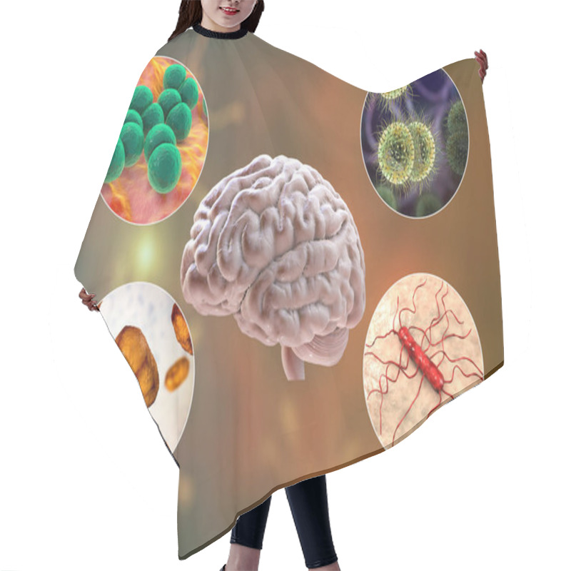 Personality  Etiology Of Bacterial Meningitis, 3D Illustration. Neisseria Meningitidis, Streptococcus Pneumoniae, Haemophilus Influenzae And Listeria Monocytogenes Bacteria Hair Cutting Cape