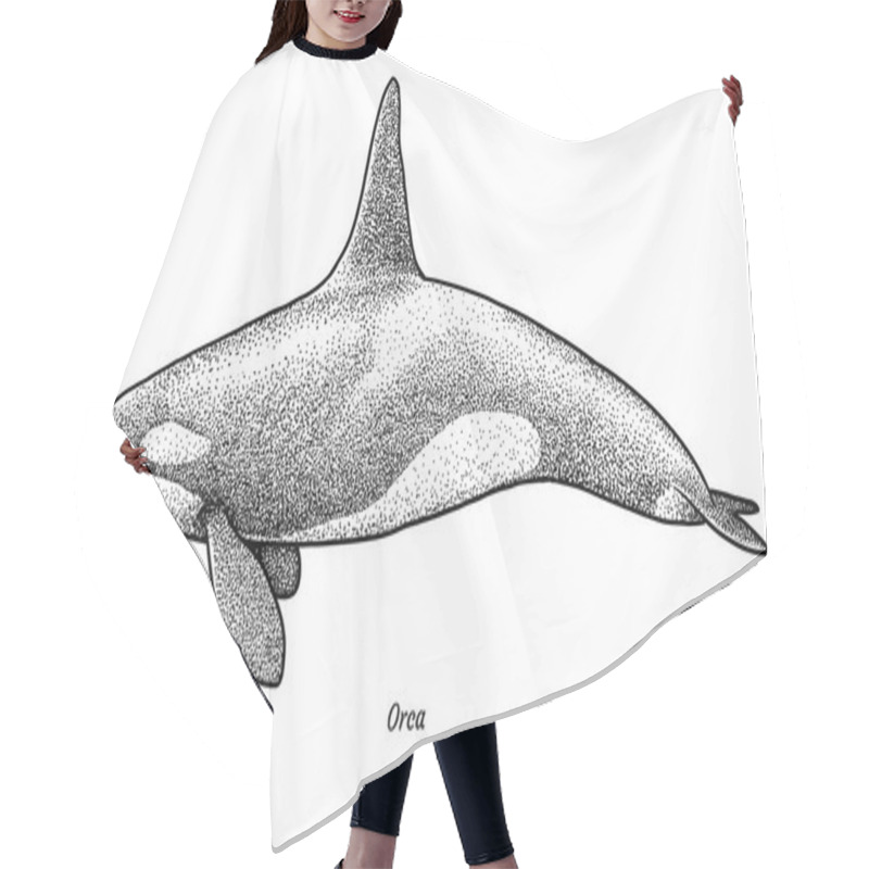 Personality  Killer Whale Illustration, Drawing, Engraving, Ink, Line Art, Vector Hair Cutting Cape