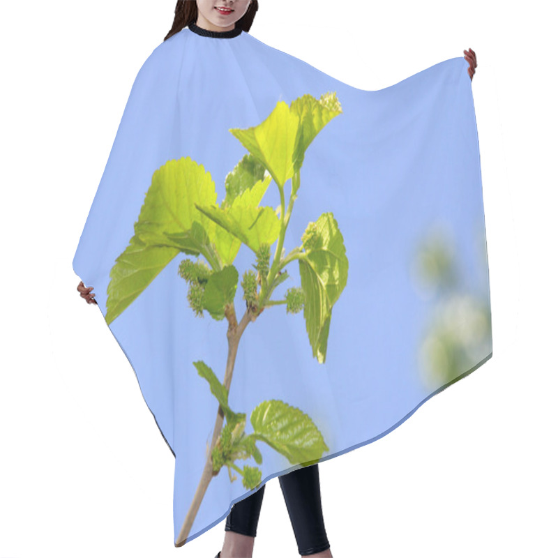 Personality  Mulberry Twigs Hair Cutting Cape