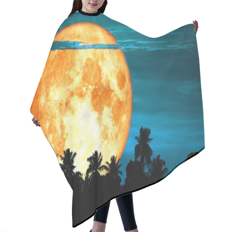 Personality  Super Blood Snow Moon Back Silhouette Tree On Night Sky, Elements Of This Image Furnished By NASA Hair Cutting Cape