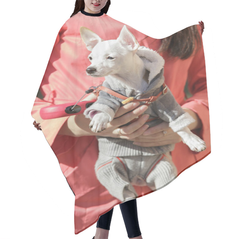 Personality  Fashion Doggy In Woman's Hands Hair Cutting Cape