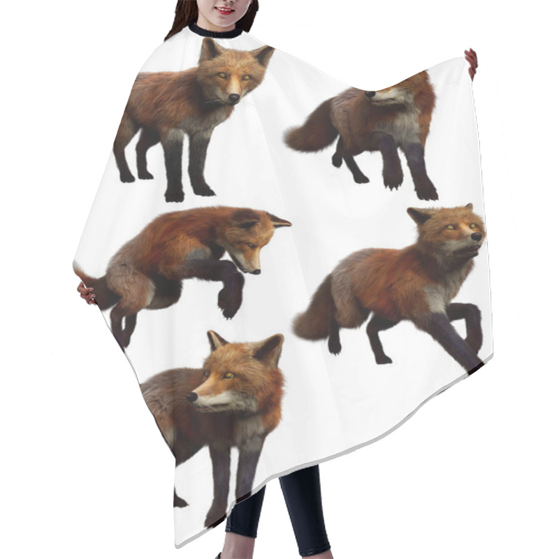 Personality  Fantasy Red Foxes In Action Poses, CGI Render Hair Cutting Cape