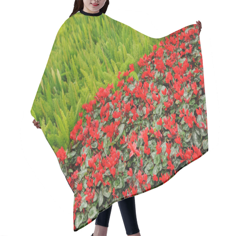 Personality  Cyclamen Flowers Hair Cutting Cape