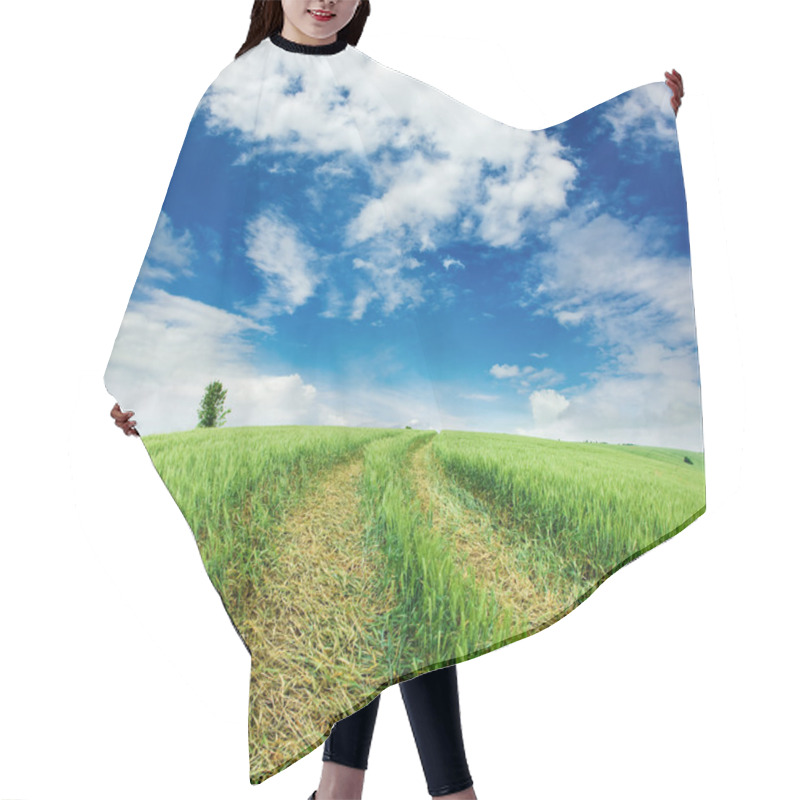 Personality  Field With Ears Of Wheat Hair Cutting Cape