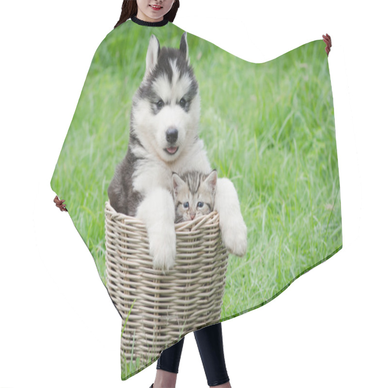 Personality  Cute Puppy And Kitten In Basket  Hair Cutting Cape