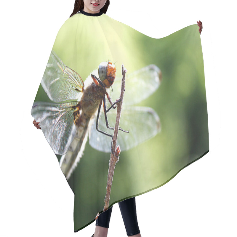 Personality  Insect Hair Cutting Cape