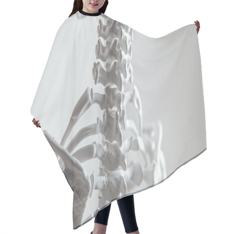 Personality  A Detailed Human Skeleton Model Showcasing Vertebrae And Bones. Ideal For Medical Education, Anatomy Studies, And Training In Healthcare And Biology Fields. Hair Cutting Cape