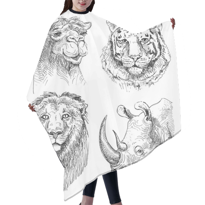 Personality  Set Of Safari Head Animals, Black And White Sketch Drawing Hair Cutting Cape