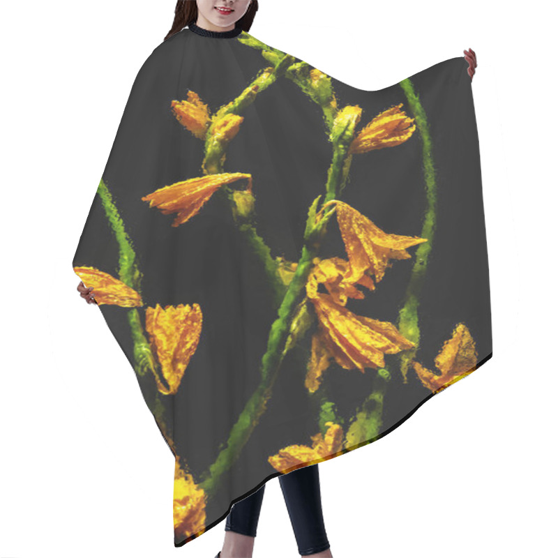 Personality  Beautiful Blooming Wet Orange Lilies And Buds With Green Stems Isolated On Black Hair Cutting Cape