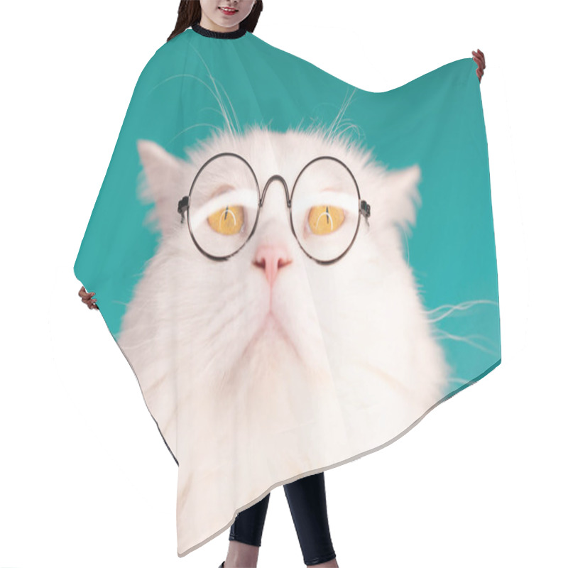 Personality  Cute Domestic Pet In Round Transparent Glasses. Furry Cat On Blue Background In Studio. Animals, Education, Science Concept. Hair Cutting Cape