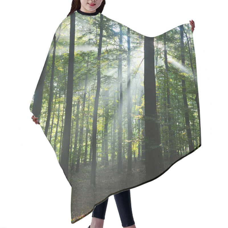 Personality  Forest Trees Hair Cutting Cape