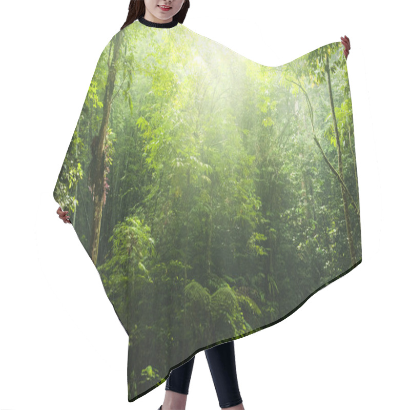 Personality  Green Forest. Hair Cutting Cape