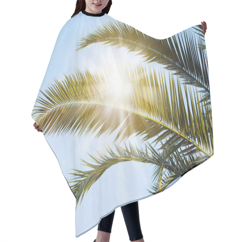 Personality  Sun Rays Through The Palm Tree Leaves Over Blue Sky. Summer Sunset Scenery. Holidays And Summertime Background. Hair Cutting Cape